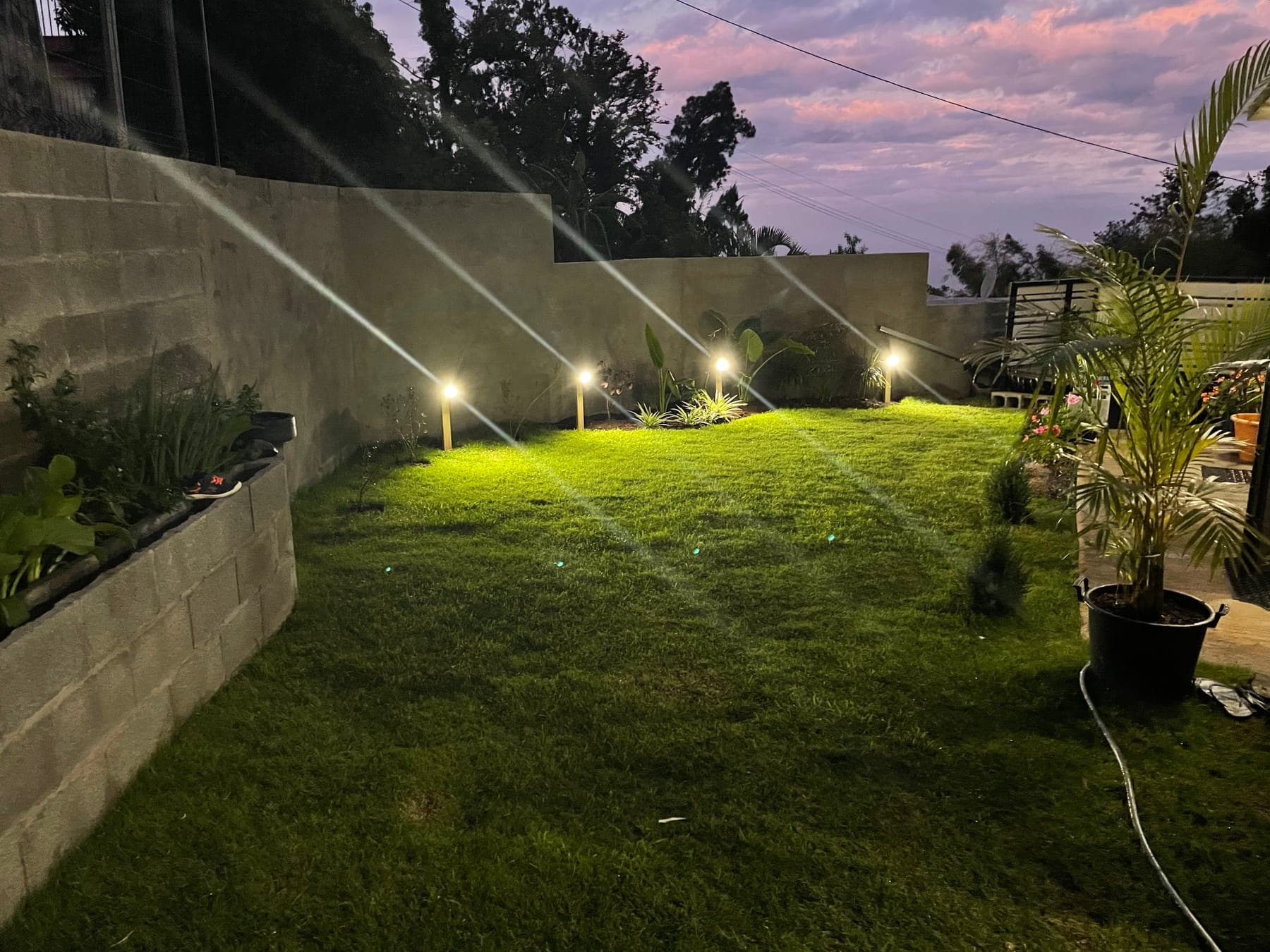 Jardin aménagé au coucher du soleil, mur de soutènement et pelouse neuve