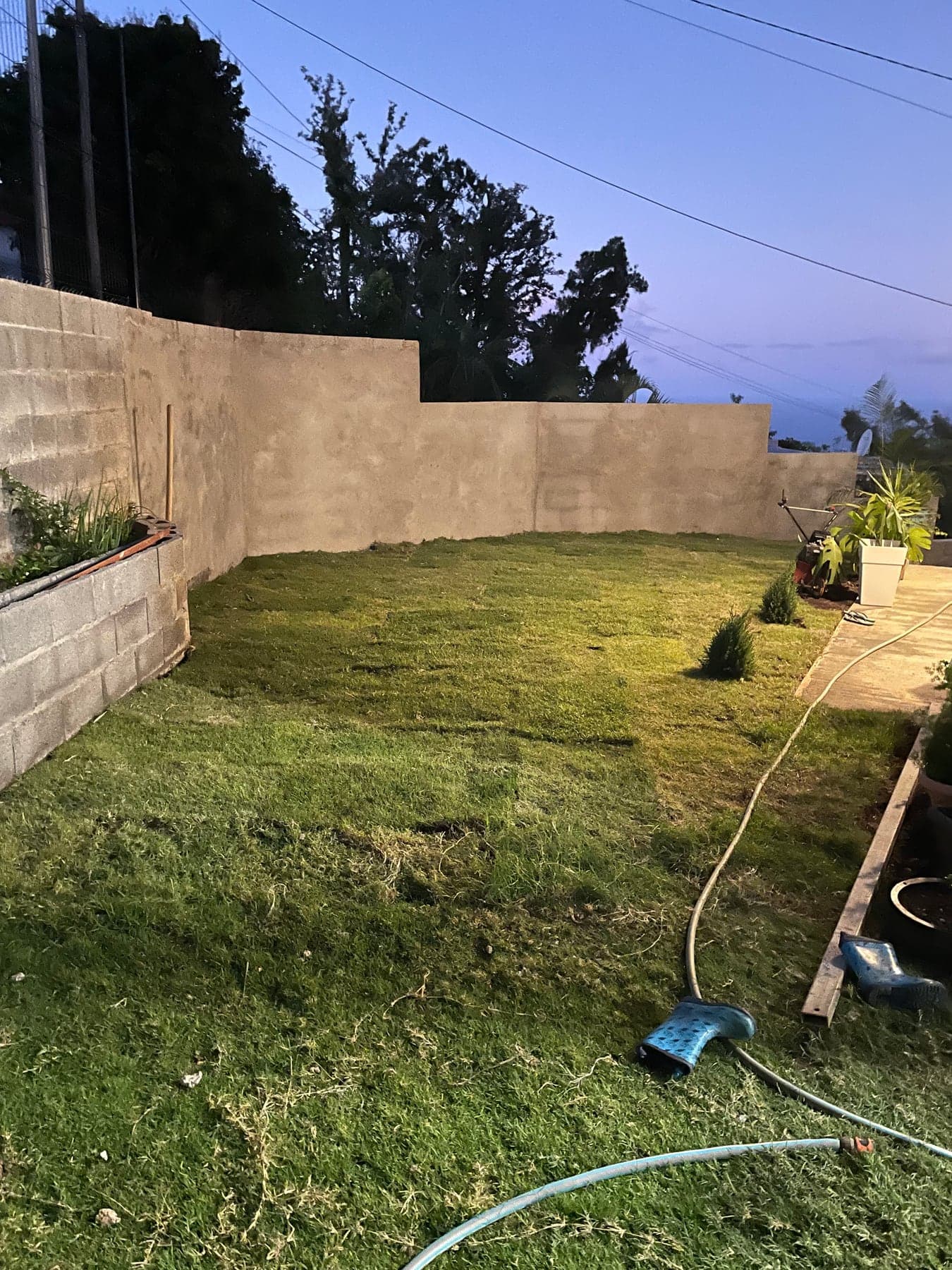 Mur de soutènement enduit et pelouse posée, vus au crépuscule