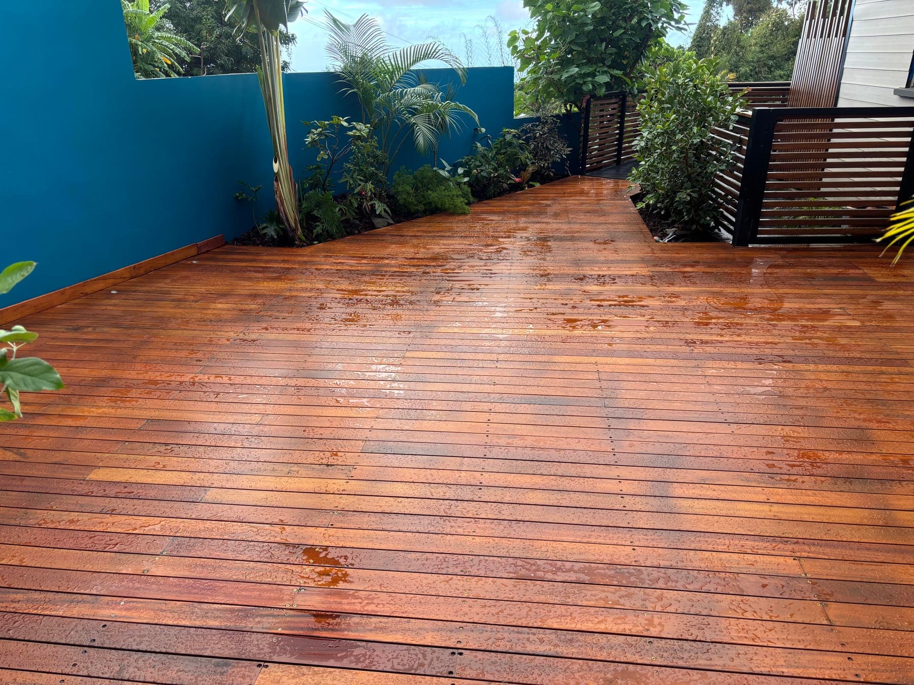 Terrasse en bois exotique après la pluie, lames posées et vissées